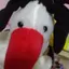 たまのプロフィール画像