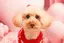 .のプロフィール画像