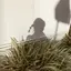 soraのプロフィール画像