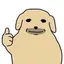 ぽんのプロフィール画像
