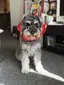 Millyのプロフィール画像
