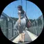 せじもんのプロフィール画像