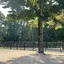 manakaのプロフィール画像