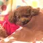 あーちのプロフィール画像