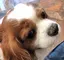nanaのプロフィール画像