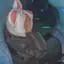 せらのプロフィール画像