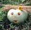 ばんのプロフィール画像