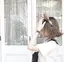 misakiのプロフィール画像