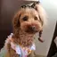 らんらんのプロフィール画像