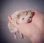 みーちゃんのプロフィール画像