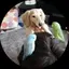すなぎものプロフィール画像