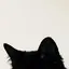 ぶぅーのプロフィール画像