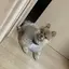 えりのプロフィール画像