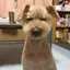 りなたろうのプロフィール画像