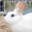 ののプロフィール画像