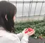 hoのプロフィール画像
