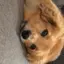 nagiのプロフィール画像