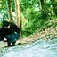 やなのプロフィール画像