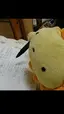 はべべのプロフィール画像