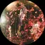 e.m.のプロフィール画像