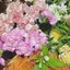 あみのプロフィール画像