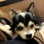 みゆのプロフィール画像