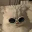 ｒｉのプロフィール画像