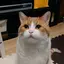 はるのプロフィール画像