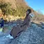 さおりのプロフィール画像
