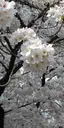 れいのプロフィール画像
