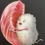 Naoのプロフィール画像