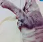 ゆみかのプロフィール画像