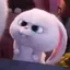 wonのプロフィール画像