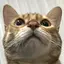 10riのプロフィール画像