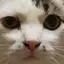 びびのプロフィール画像
