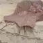 niwachanのプロフィール画像
