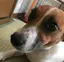 ななのプロフィール画像