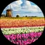 kmtiのプロフィール画像