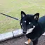 タムラのプロフィール画像