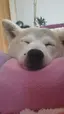 みえのプロフィール画像