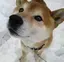 minaのプロフィール画像