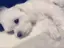 まるのプロフィール画像