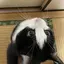 なっちゃんのプロフィール画像