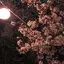 あらあらのプロフィール画像