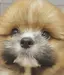 IKUMIのプロフィール画像