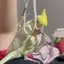まのプロフィール画像