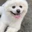 kmsyのプロフィール画像