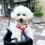 みのプロフィール画像