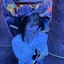 noaのプロフィール画像
