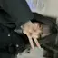 海璃のプロフィール画像